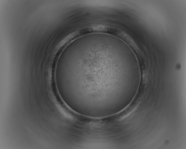 X0000094800725200711241423