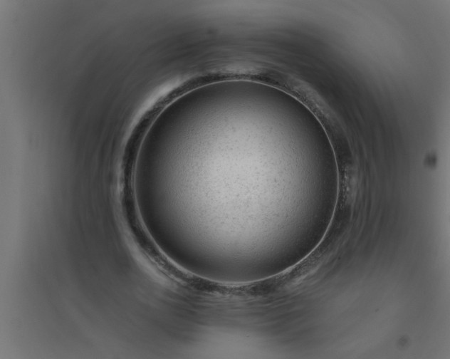 X0000094800726200711241423