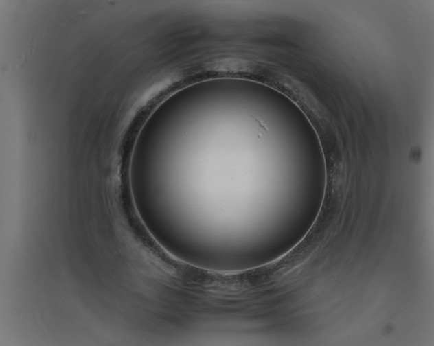 X0000094800727200711241423