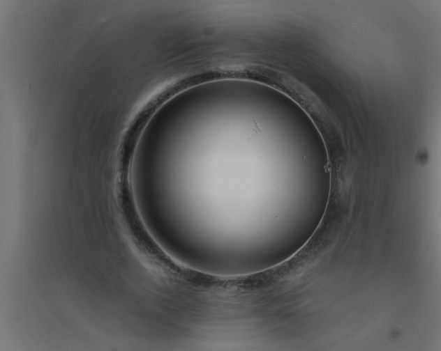 X0000094800728200711241423