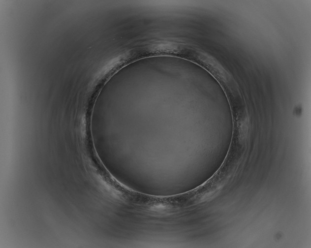 X0000094800729200711241423