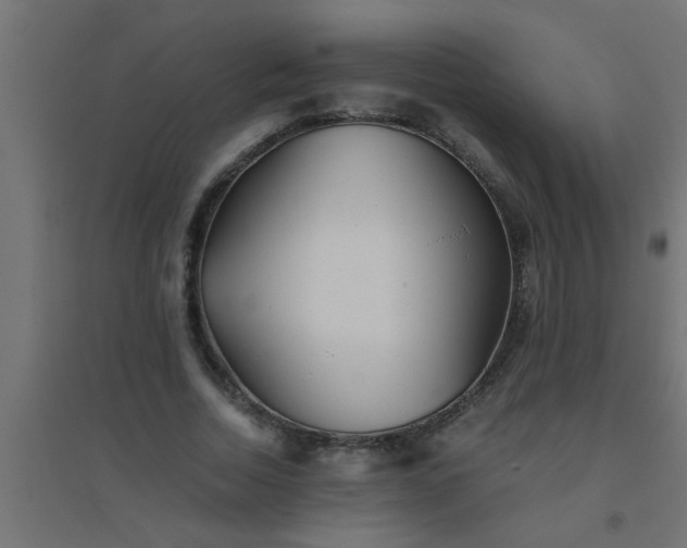 X0000094800730200711241423