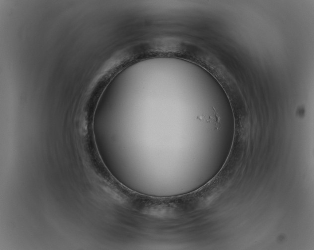 X0000094800731200711241423