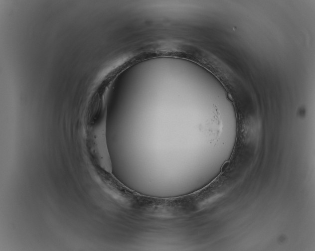 X0000094800732200711241423