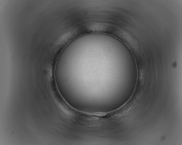 X0000094800733200711241423