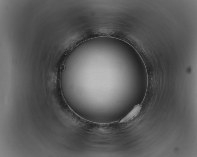 X0000094800739200711241423