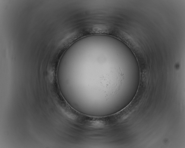 X0000094800741200711241423