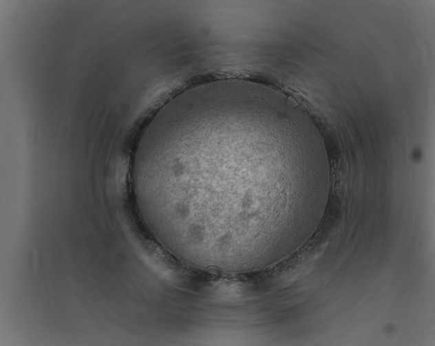 X0000094800742200711241423