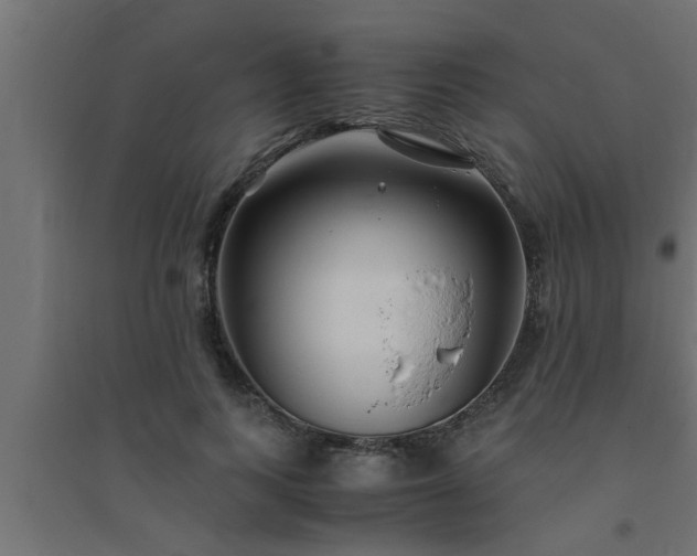 X0000094800743200711241423