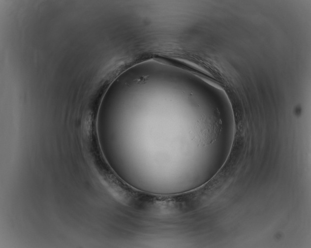 X0000094800744200711241423