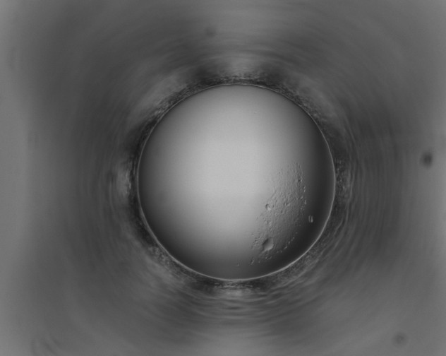 X0000094800746200711241423