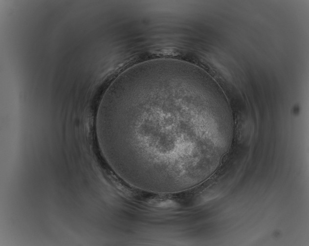 X0000094800747200711241423