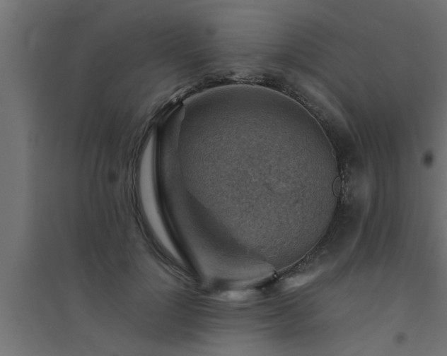 X0000094800748200711241423