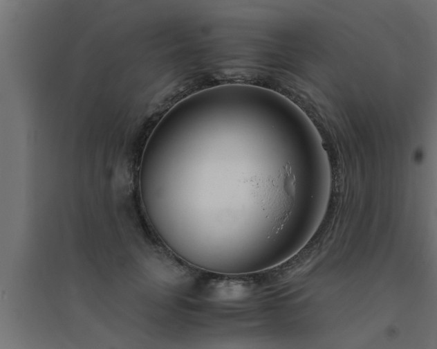 X0000094800751200711241423