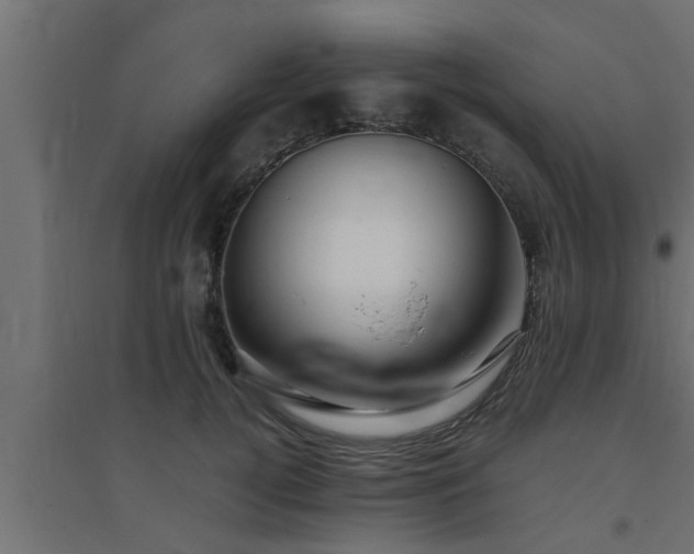 X0000094800752200711241423