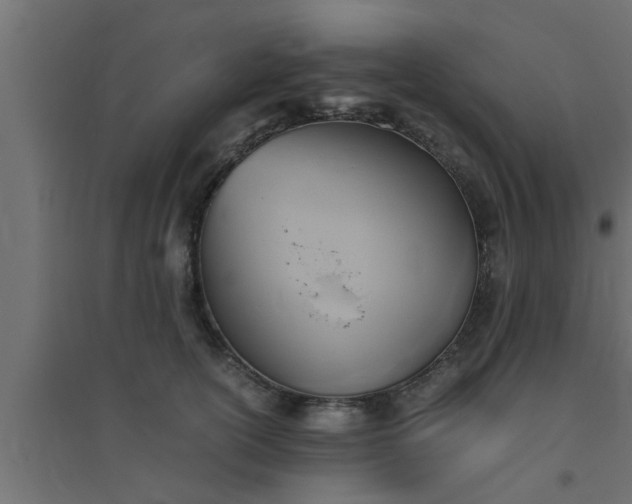 X0000094800754200711241423