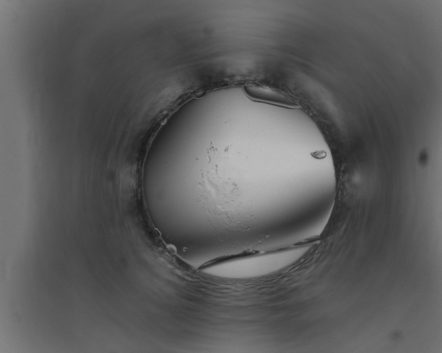 X0000094800756200711241423