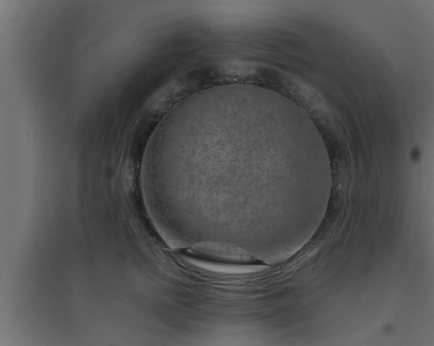 X0000094800758200711241423
