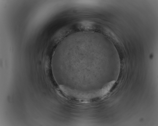 X0000094800760200711241423