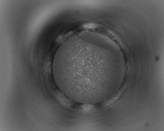 X0000094800762200711241423