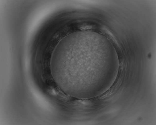 X0000094800763200711241423