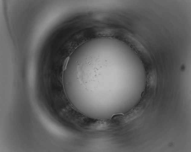 X0000094800764200711241424
