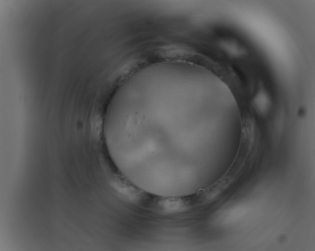 X0000094800767200711241424