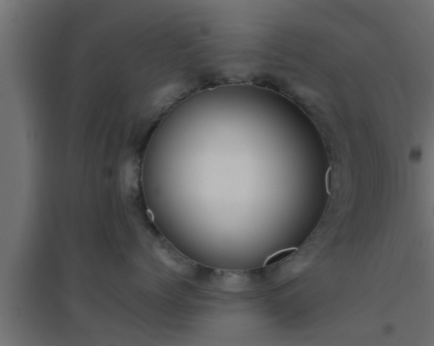 X0000094800768200711241424