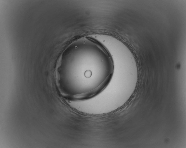 X0000094800769200711241423