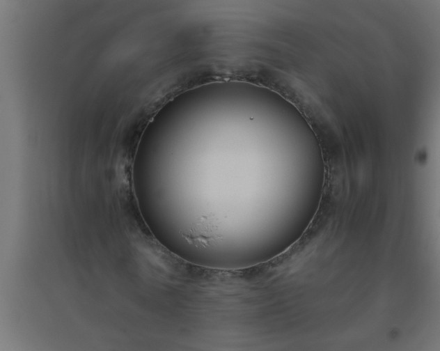 X0000094800770200711241423