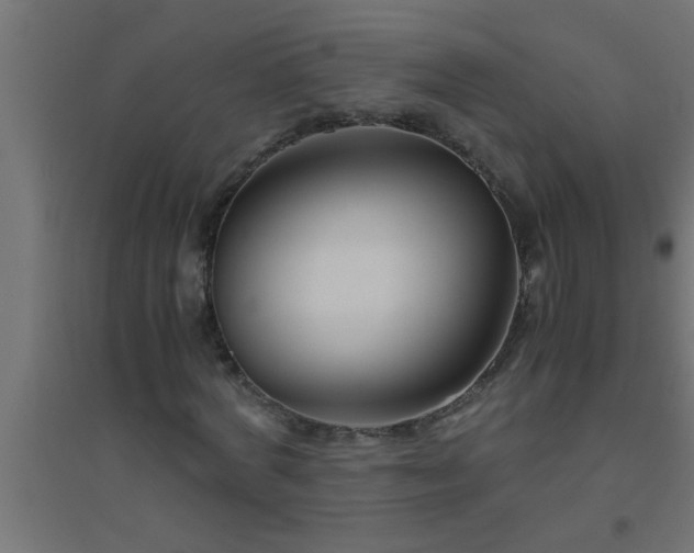 X0000094800772200711241423