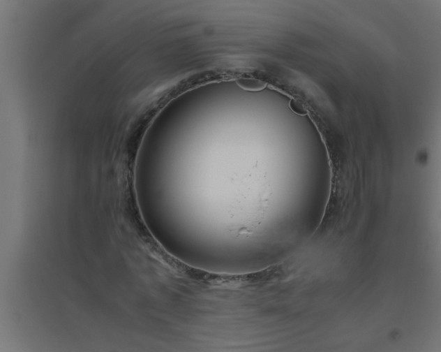 X0000094800773200711241423