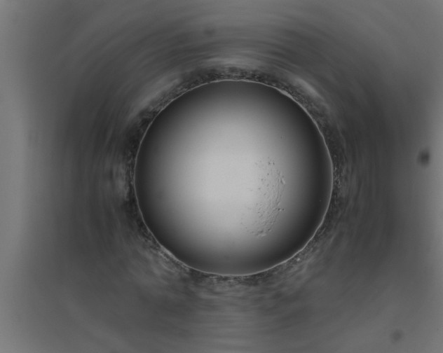X0000094800774200711241423