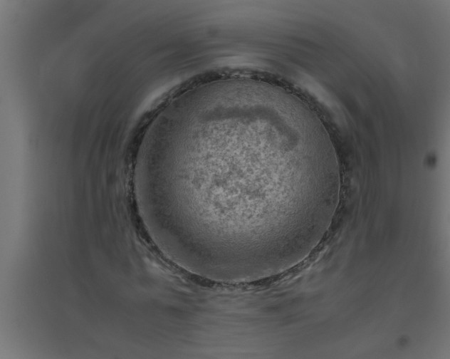 X0000094800775200711241423