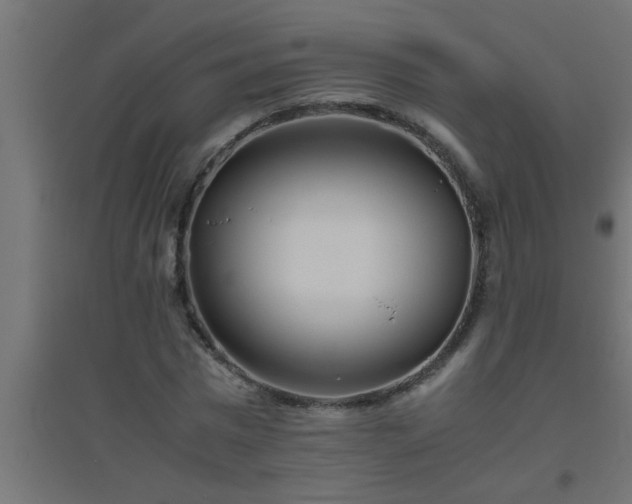 X0000094800777200711241423