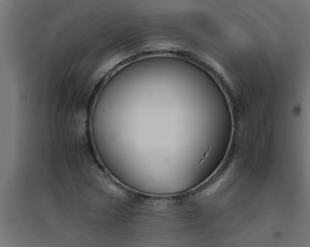 X0000094800778200711241423