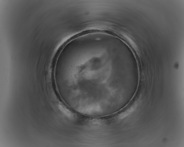 X0000094800779200711241423