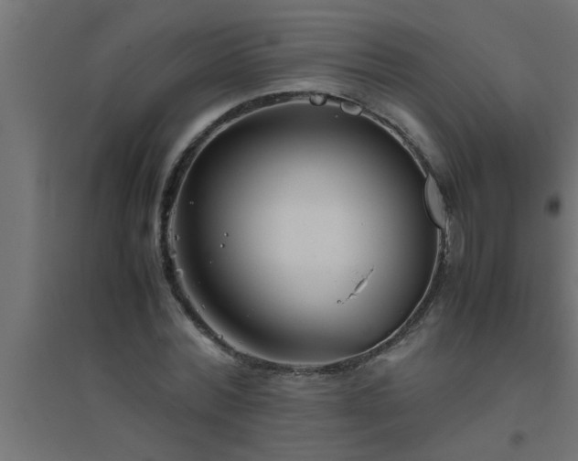 X0000094800780200711241423