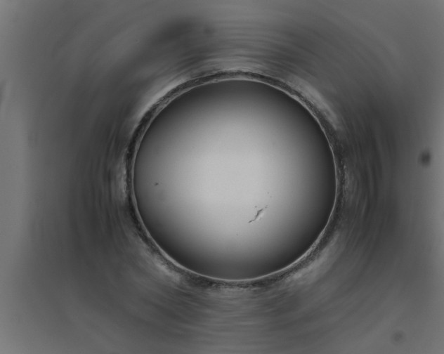 X0000094800782200711241423