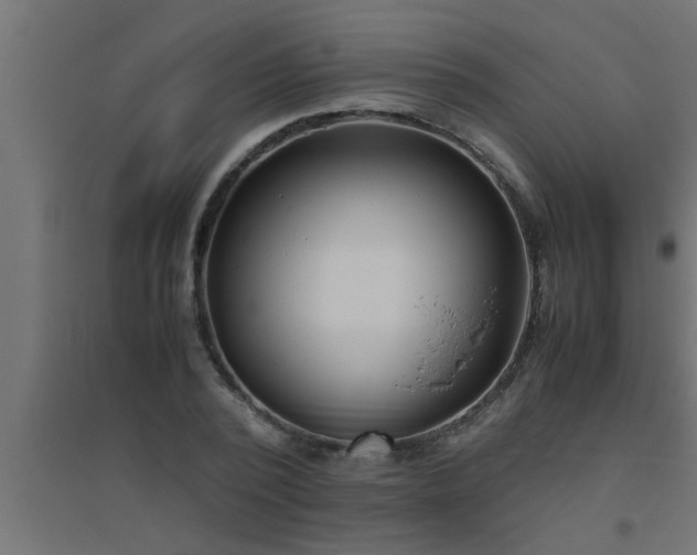 X0000094800784200711241423