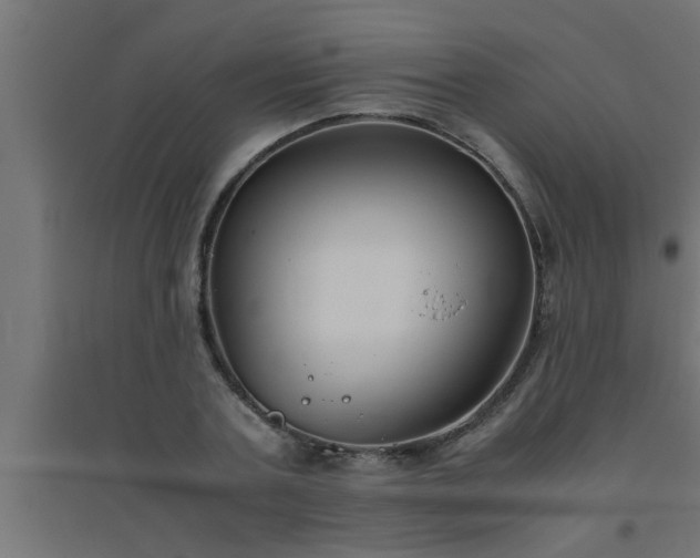 X0000094800787200711241423