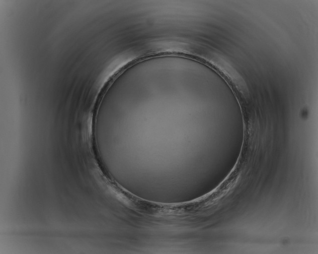 X0000094800790200711241423