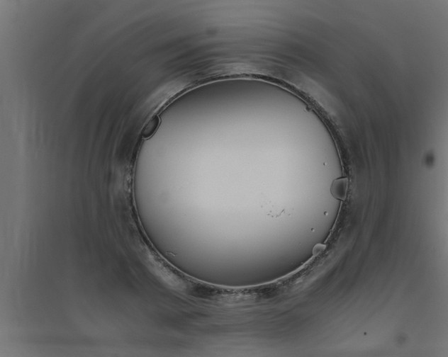 X0000094800793200711241423