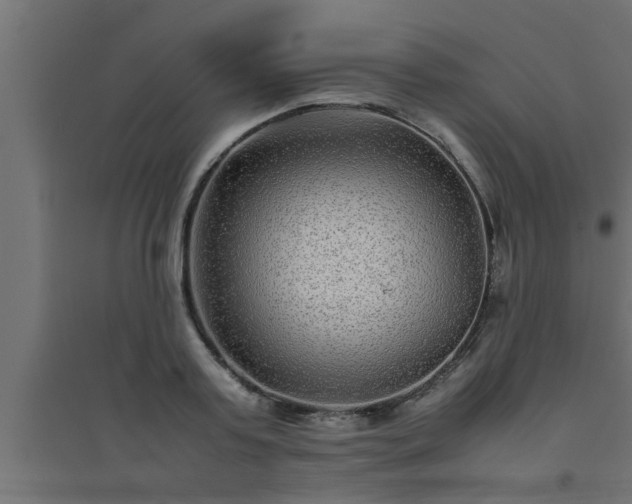 X0000094800795200711241423