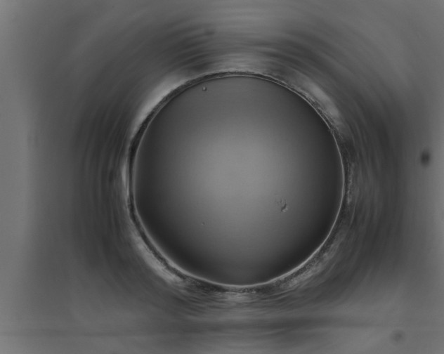 X0000094800796200711241423