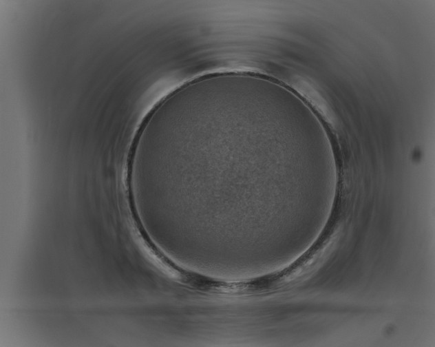 X0000094800797200711241423