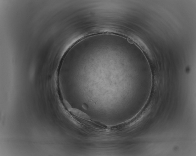 X0000094800798200711241423