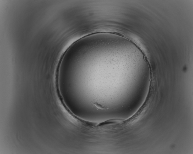 X0000094800803200711241422