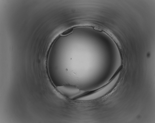 X0000094800805200711241422