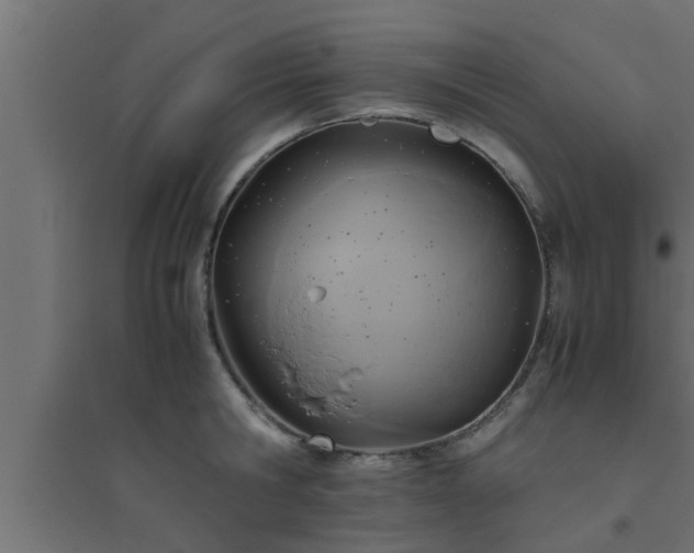X0000094800806200711241422